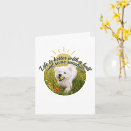 Bichon & Boll Maskrosdagar Kort