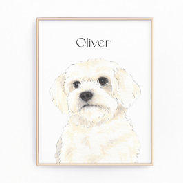 Bichon, Bolognese, Koton, Havanese, Malta Art Fototryck