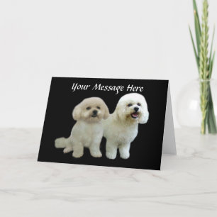 Bichon Buddies Greeting Card Helgkort