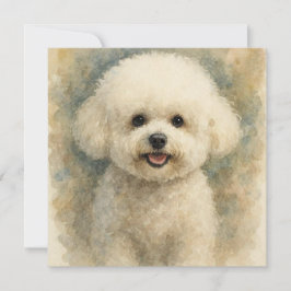 Bichon Frise