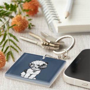 Bichon Frise