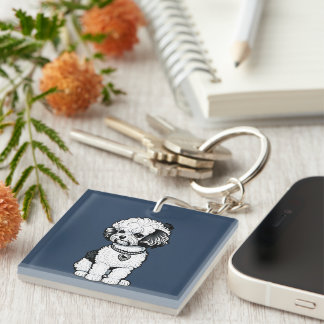 Bichon Frise