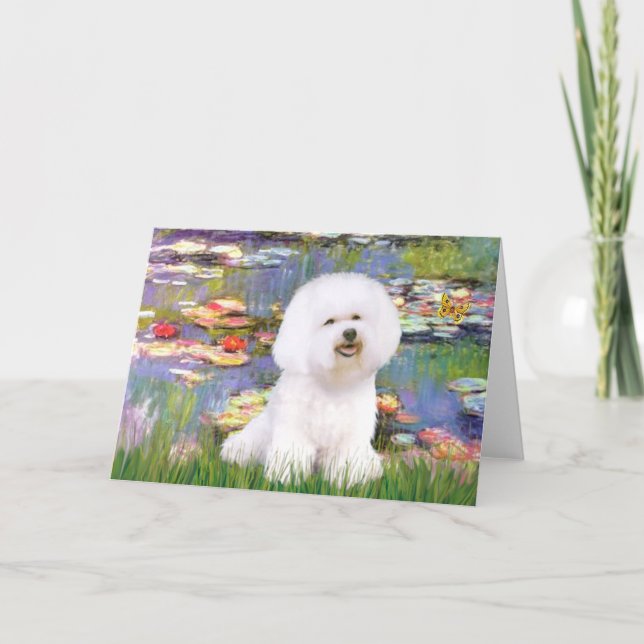 Bichon Frise 1 - Liljor 2 Kort (Framsida)