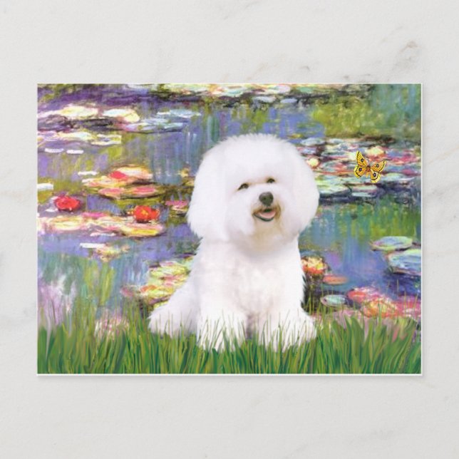 Bichon Frise 1 - Liljor 2 Vykort (Framsida)