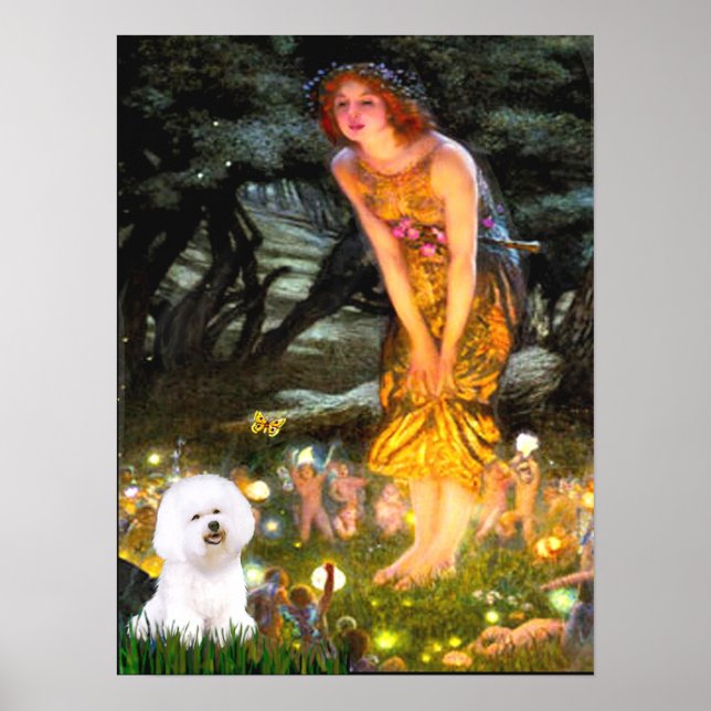 Bichon Frise 1 - Midsommar Poster (Framsidan)