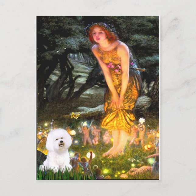 Bichon Frise 1 - Midsommar Vykort (Framsida)