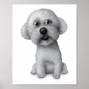 Bichon Frise: 8 x 10 Poster