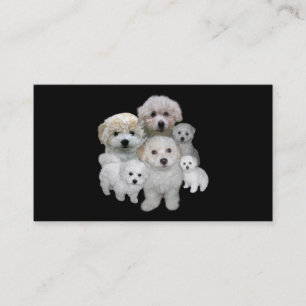 Bichon Frise älskarevisitkort Visitkort