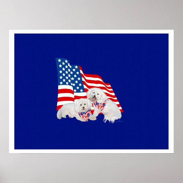 Bichon Frise amerikansk flagga Poster (Framsidan)