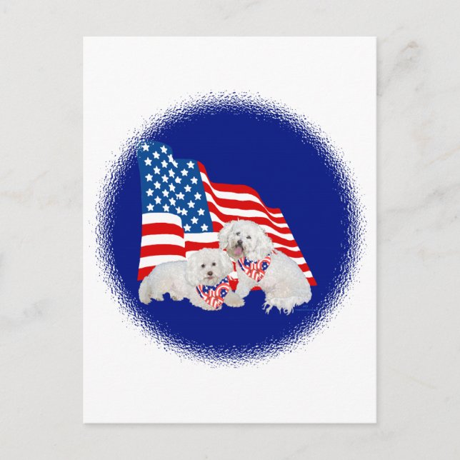 Bichon Frise amerikansk flagga Vykort (Framsida)