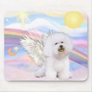 Bichon Frise Angel Musmatta