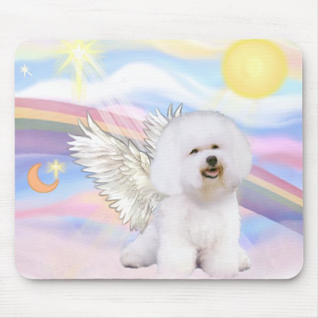 Bichon Frise Angel Musmatta (Framsidan)
