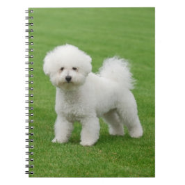 Bichon Frise Anteckningsbok
