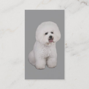 Bichon Frise avelsdjurvisitkort Visitkort
