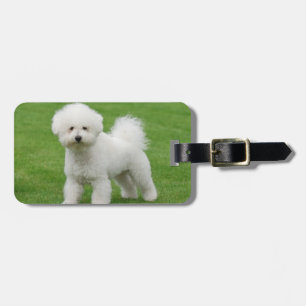 Bichon Frise Bagagebricka