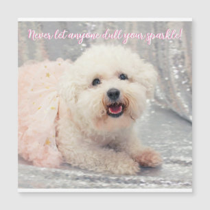 Bichon Frise Ballerina julpositiva vibes