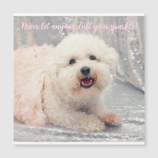 Bichon Frise Ballerina julpositiva vibes
