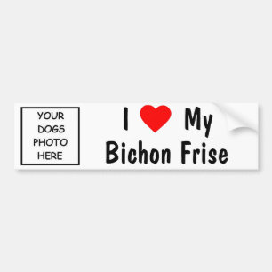 Bichon Frise Bildekal
