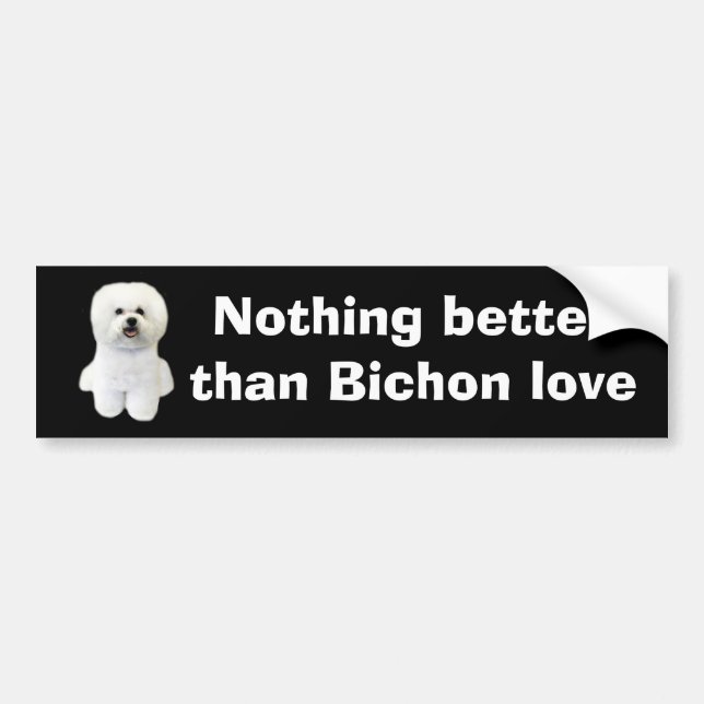 Bichon Frise bildekal (Framsidan)