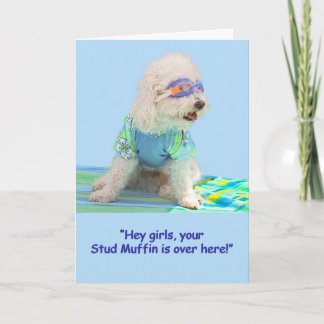 Bichon Frise Birthday Card Kort (Framsida)