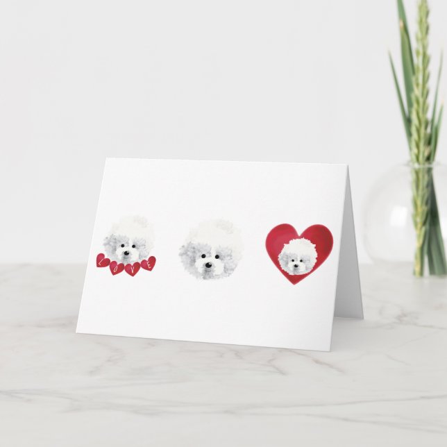 Bichon Frise _ blandras _  Helgkort (Framsida)