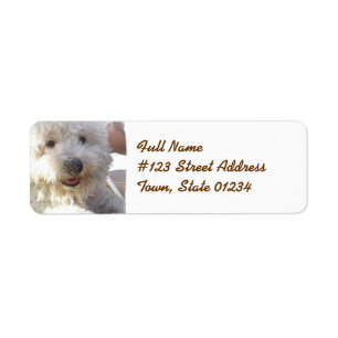 Bichon Frise brevskickandeetikett Returadress Etikett