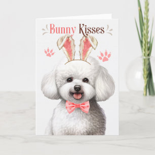 Bichon Frise Bunny Öron Påsk Helgdag Card Helgkort