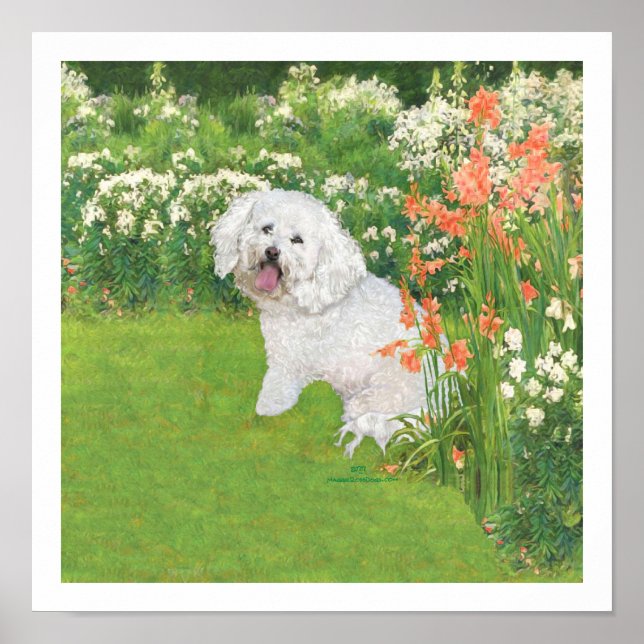Bichon Frise Coral Fantasy Poster (Framsidan)