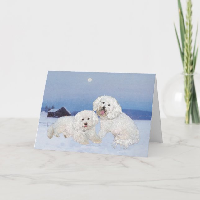 Bichon Frise December Kväll Helgkort (Framsida)