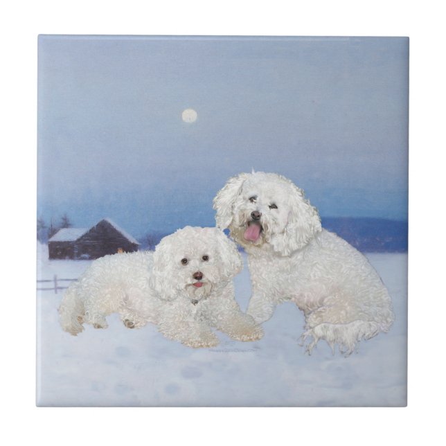 Bichon Frise December Kväll Kakelplatta (Framsidan)