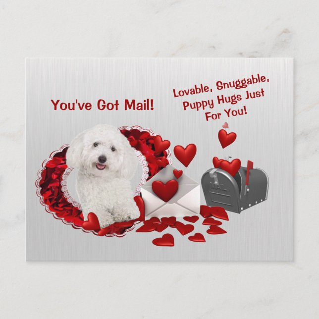 Bichon Frise Du har Har Mail Puppy Hugs Valentine Helg Vykort (Framsida)
