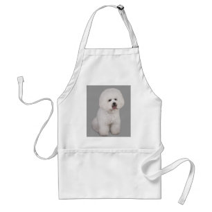 Bichon Frise dyrbart förkläde
