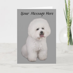 Bichon Frise dyrbart hälsningkort Helgkort