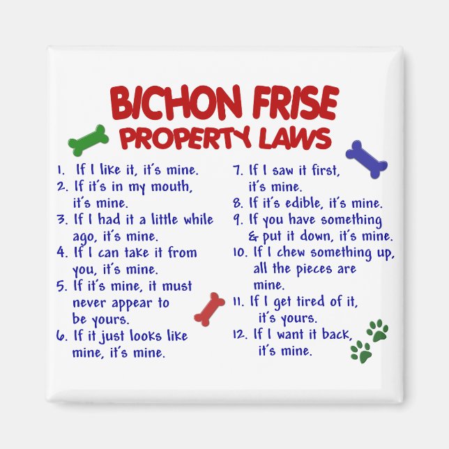 BICHON FRISE Egendom LAGSTIFTNING 2 Magnet (Framsidan)