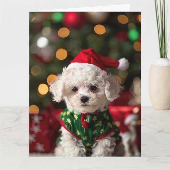 Bichon Frise Elf Puppy-julkort Kort (Framsida)
