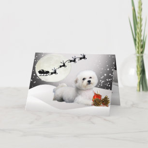 Bichon Frise ett god julhälsningkort Helgkort