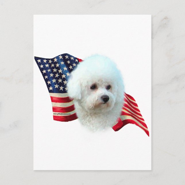 Bichon Frise Flagga Vykort (Framsida)