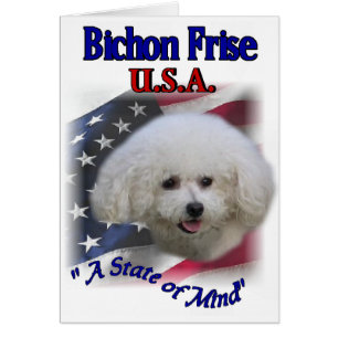 Bichon Frise Gifts Hälsningskort
