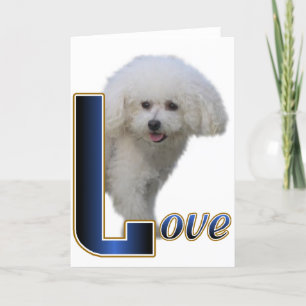 Bichon Frise Gifts Kort