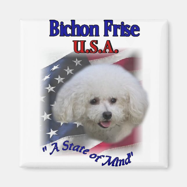 Bichon Frise Gifts Magnet (Framsidan)