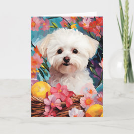 Bichon Frise Glad påsk Kort