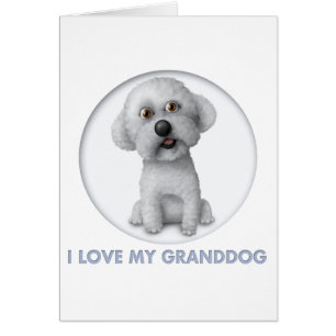 Bichon Frise Granddog Hälsningskort