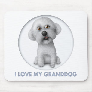 Bichon Frise Granddog Musmatta