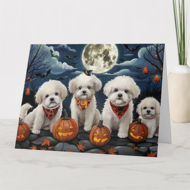 Bichon Frise Halloween Kuslig Kort (Framsida)