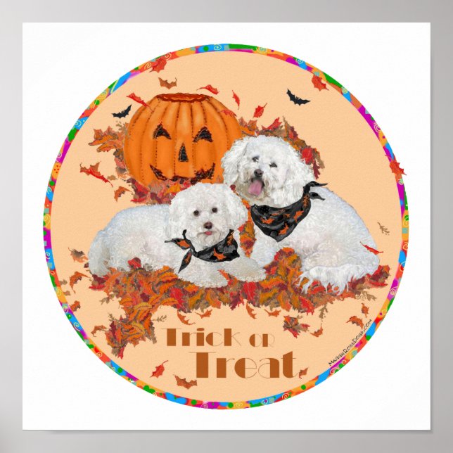 Bichon Frise Halloween Poster (Framsidan)