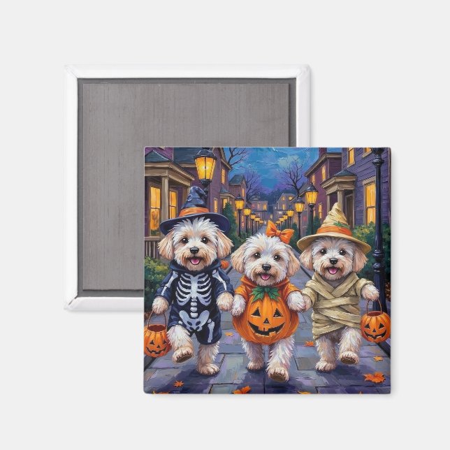 Bichon Frise Halloweenkostymer för trick-or-treat Magnet (Front/Back)