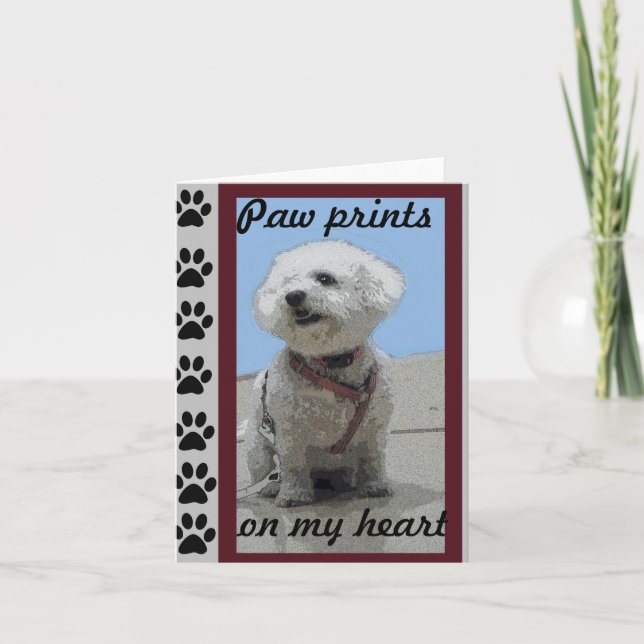 Bichon Frise hälsningkort Kort (Framsida)