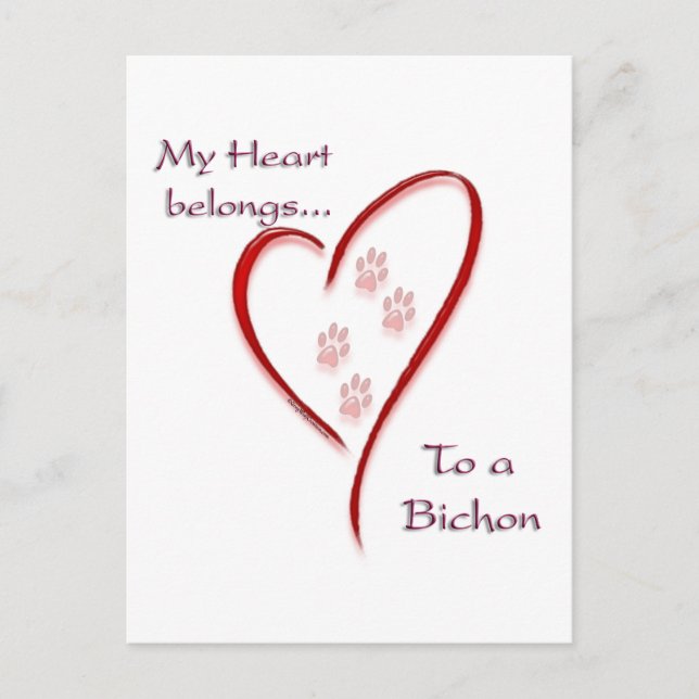 Bichon Frise Heart-Tillhör Vykort (Framsida)
