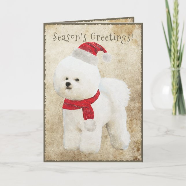 Bichon Frise helgdagkort Helgkort (Framsida)