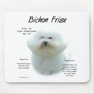 Bichon Frise-historik; allt om Bichon Frise Musmatta